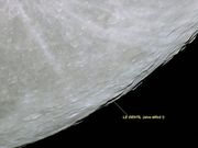 Cratera LE GENTIL em 14/07/2011, 22h44m - Alvo Difícil !