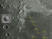 A família LINNÉ No. 2.