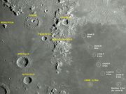 A Família LINNÉ & Cia.