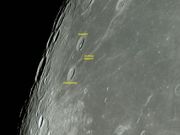 CARDANUS e KRAFFT em 13/05/2014.