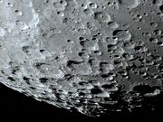 Um belo exemplo de morfologia complexa: MORETUS.