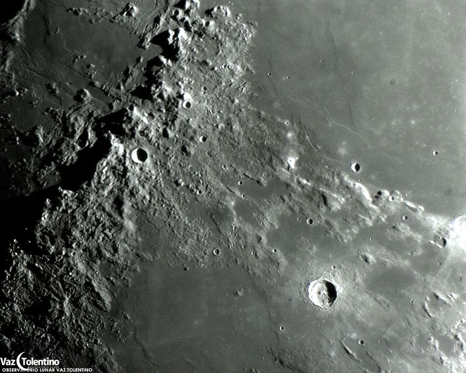 Image_315b1